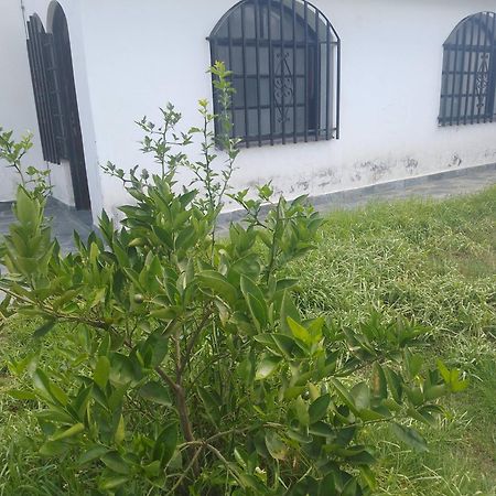 Hostel Alto Alberdi 科尔多瓦 外观 照片