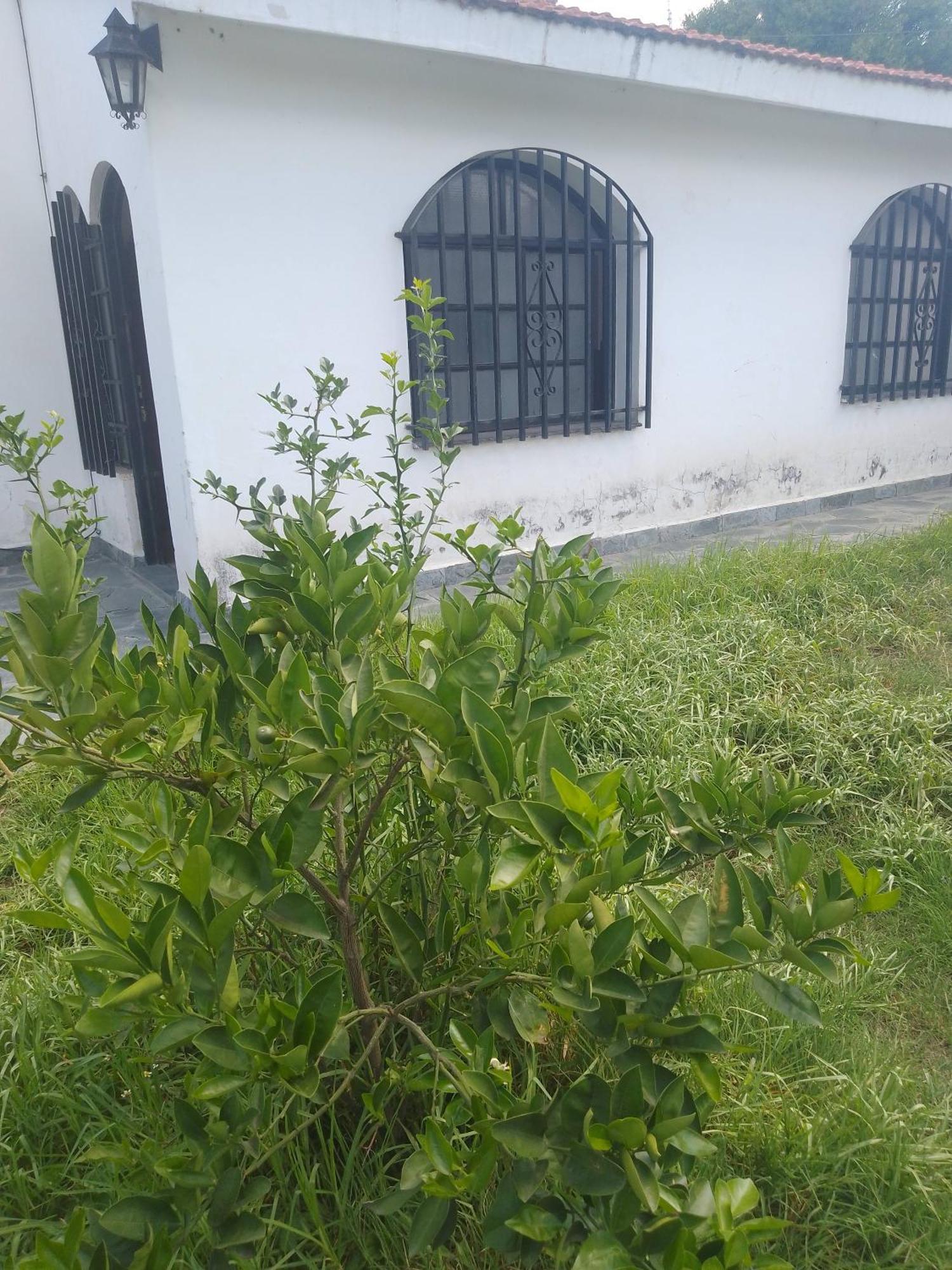 Hostel Alto Alberdi 科尔多瓦 外观 照片